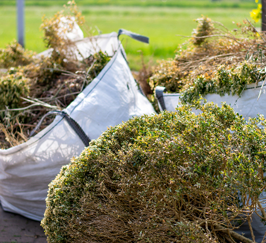 Garden maintenance Melbourne
